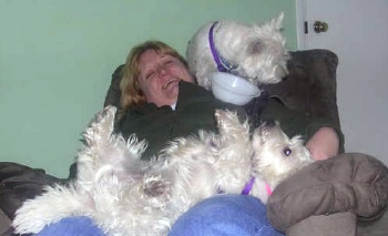 Winnie and Elvis - WestieMed Recipient