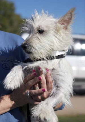 Marty - WestieMed Grant Recipient October 2011