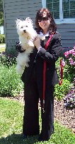 Sugar - WestieMed Recipient May 2010