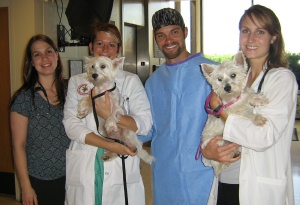 Kenne and Gilley - WestieMed Recipient July 2008