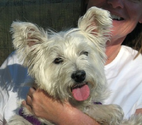 Linnie - WestieMed Recipient October 2009