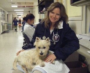 Robbie - WestieMed Recipient March 2008